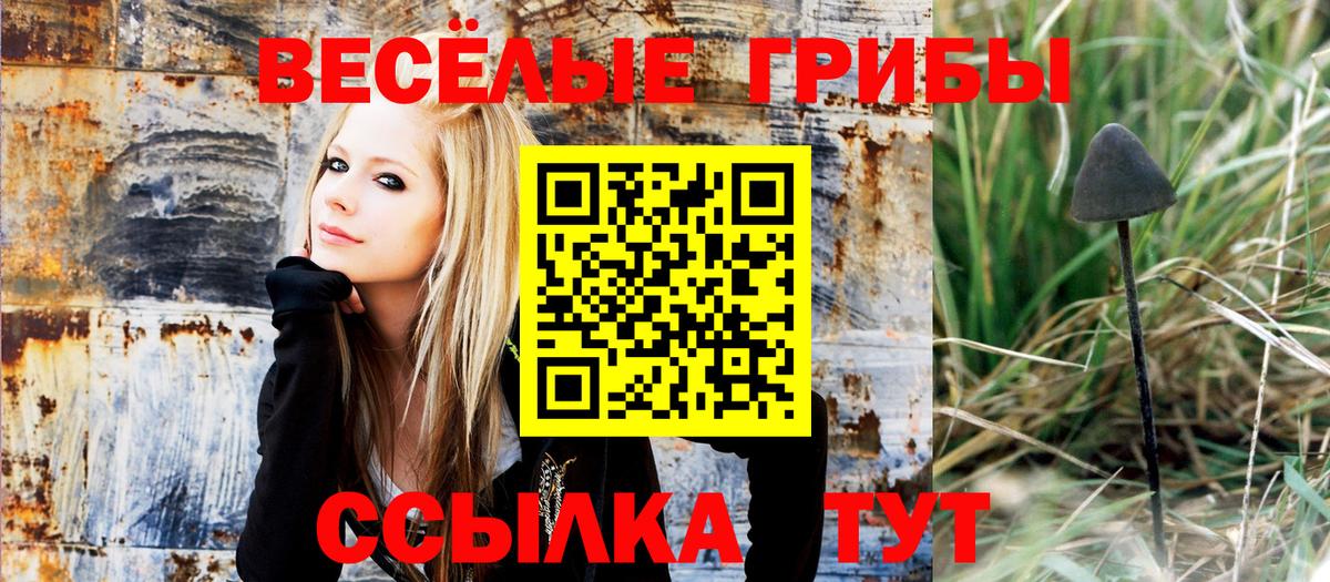 Галлюциногенные грибы Psilocybine cubensis Семёнов