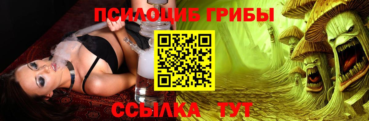 что такое наркотик  Вход с VPN  Семёнов  Галлюциногенные грибы мицелий 